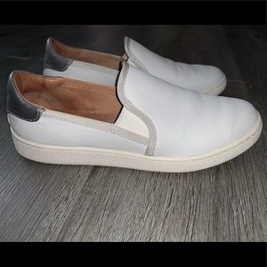 ugg vans